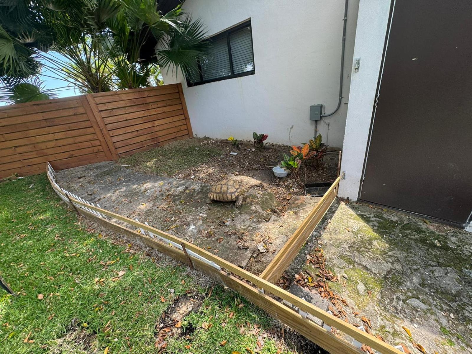 Magical Wonderkoi House In A Japanese Koi Garden Villa Miami Exterior photo